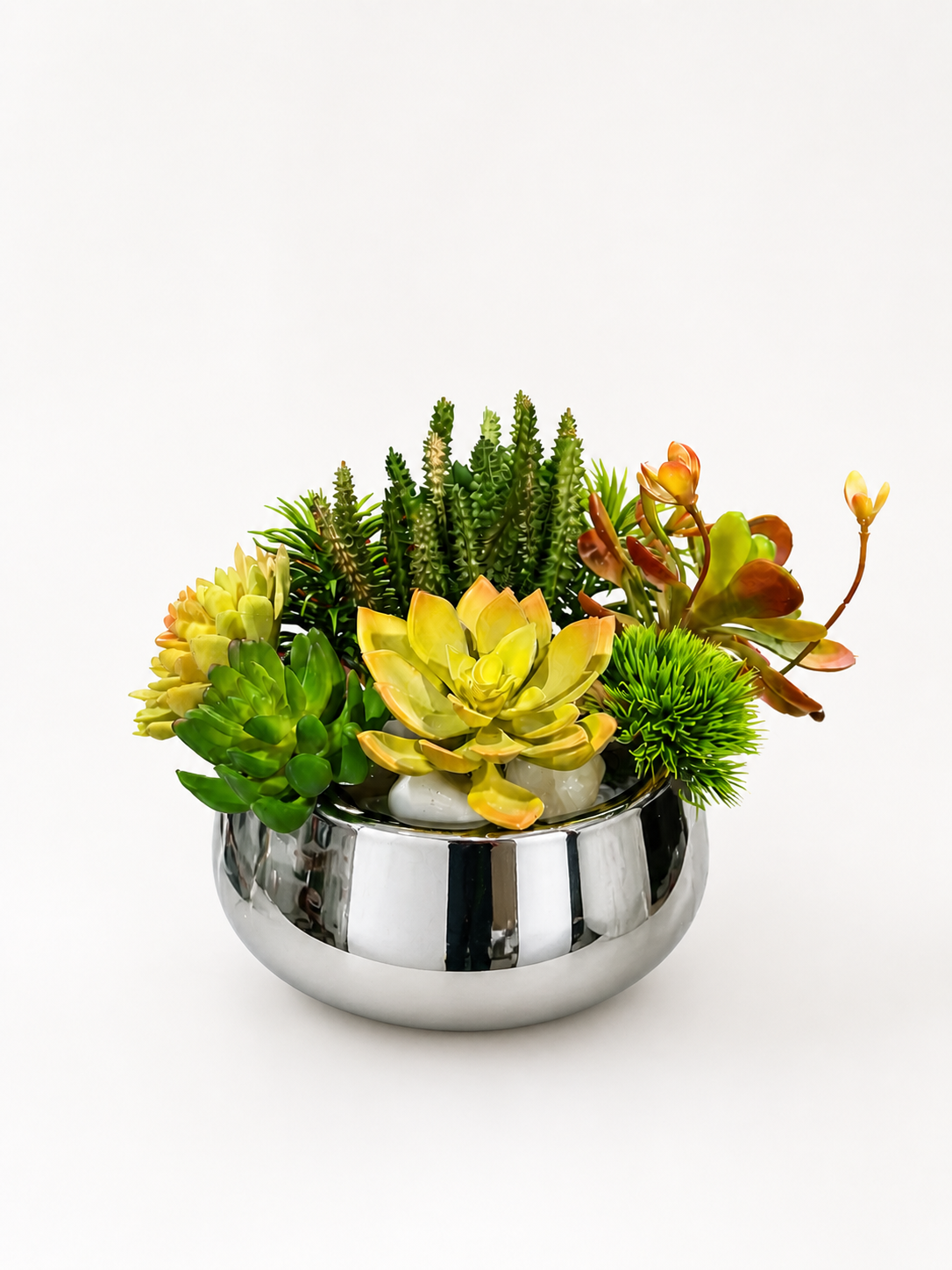 Modern Succulent Centerpiece